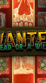 Wanted Dead or a Wild